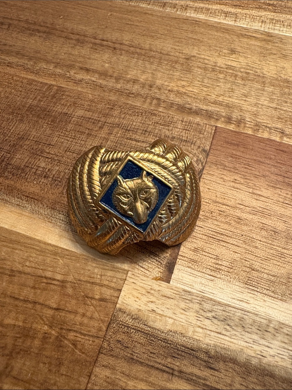 Cub Scout Wolf rank accessory
